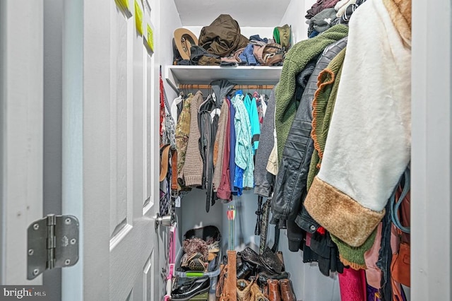 view of walk in closet