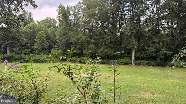 8029 Flippo Dr, Fredericksburg, VA 22408 - photo 13