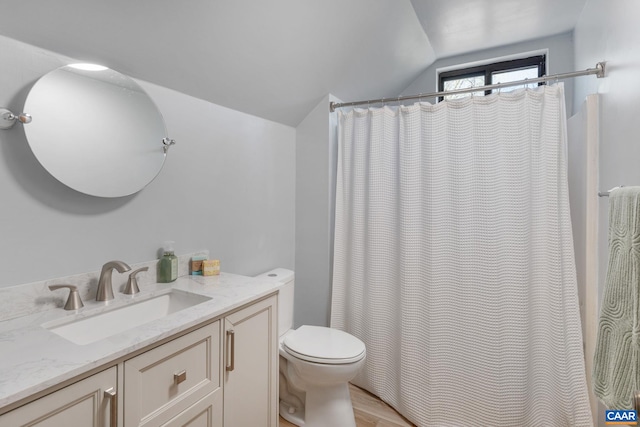 2 Amethyst Rd, Palmyra, VA 22963 - full bath with vaulted ceiling, toilet, vanity, and a shower with shower curtain