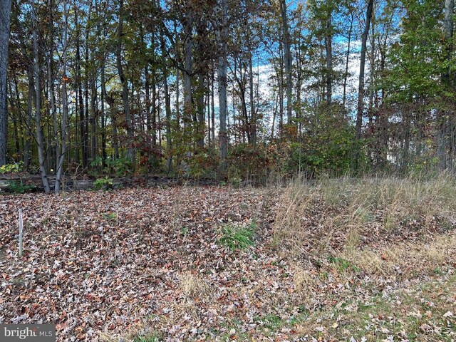 Rainbow Rdg, Bumpass, VA 23024 - photo 3
