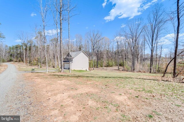 26288 Wisdom Tree Ln, Unionville, VA 22567 - view of yard featuring a forest view