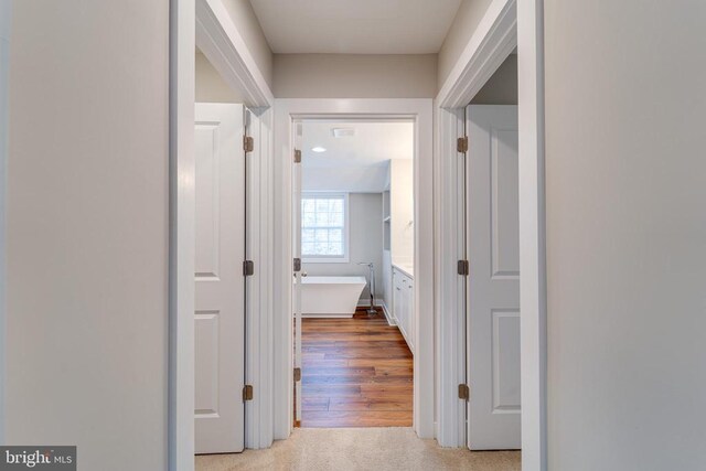 26288 Wisdom Tree Ln, Unionville, VA 22567 - view of hallway