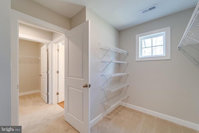26288 Wisdom Tree Ln, Unionville, VA 22567 - walk in closet with carpet flooring