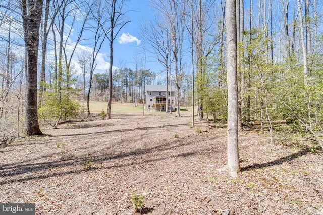 26288 Wisdom Tree Ln, Unionville, VA 22567 - view of yard featuring an outdoor structure