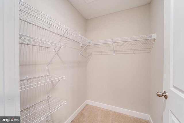 26288 Wisdom Tree Ln, Unionville, VA 22567 - spacious closet featuring carpet floors