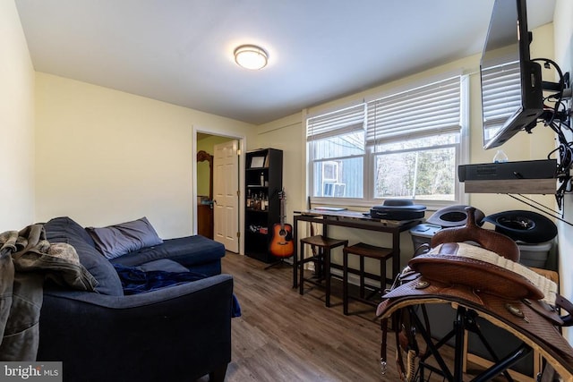 living room featuring dark wood-style floors