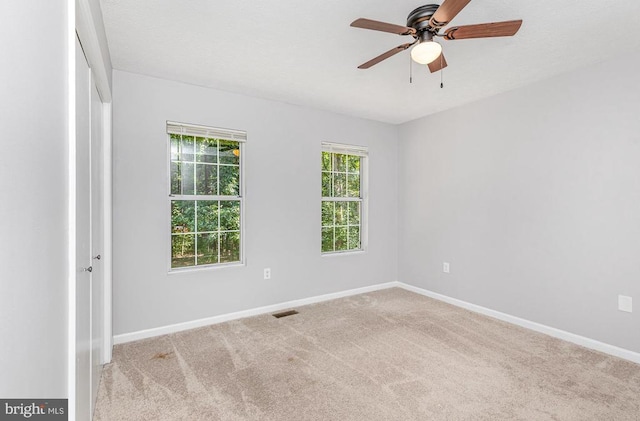 13700 Flank March Ln, Spotsylvania, VA 22551 - photo 21