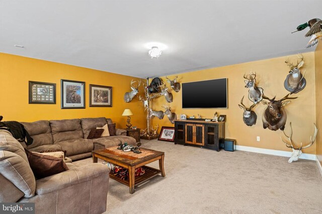living area featuring carpet
