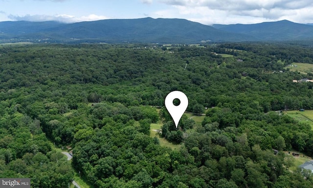 333 Beylors Ferry Rd, Rileyville, VA 22650 - photo 38