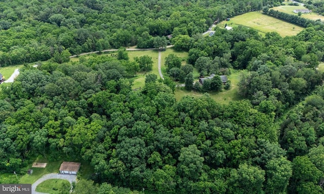 333 Beylors Ferry Rd, Rileyville, VA 22650 - photo 57