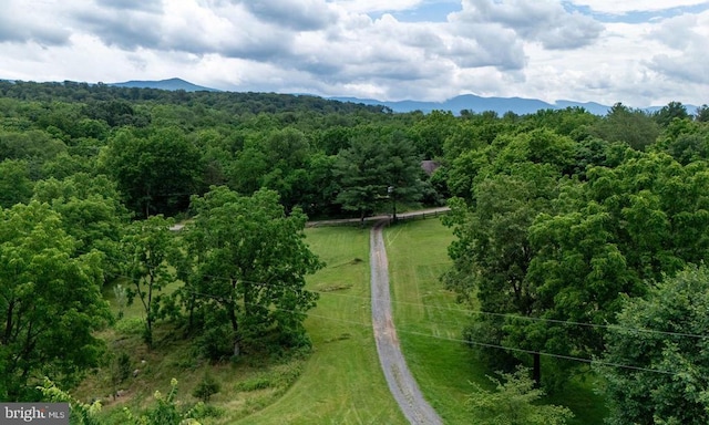 333 Beylors Ferry Rd, Rileyville, VA 22650 - photo 49
