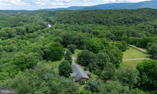 333 Beylors Ferry Rd, Rileyville, VA 22650 - photo 46