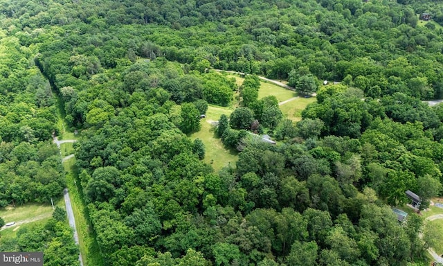 333 Beylors Ferry Rd, Rileyville, VA 22650 - photo 56