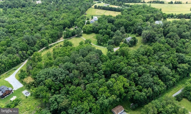 333 Beylors Ferry Rd, Rileyville, VA 22650 - photo 58