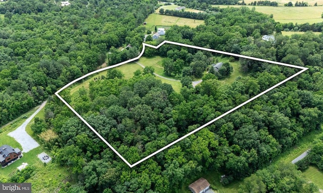 333 Beylors Ferry Rd, Rileyville, VA 22650 - photo 10