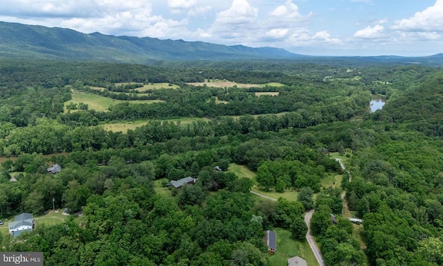 333 Beylors Ferry Rd, Rileyville, VA 22650 - photo 65