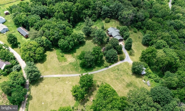 333 Beylors Ferry Rd, Rileyville, VA 22650 - photo 48