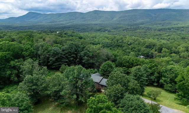 333 Beylors Ferry Rd, Rileyville, VA 22650 - photo 47