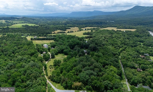 333 Beylors Ferry Rd, Rileyville, VA 22650 - photo 44