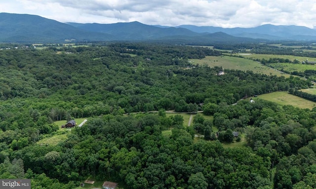 333 Beylors Ferry Rd, Rileyville, VA 22650 - photo 42