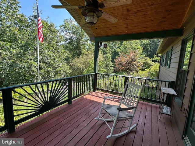 333 Beylors Ferry Rd, Rileyville, VA 22650 - photo 32