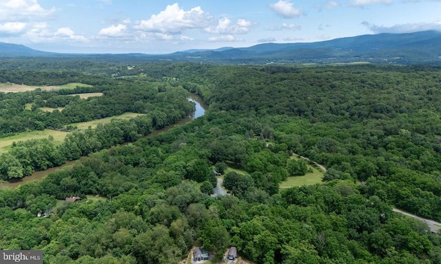 333 Beylors Ferry Rd, Rileyville, VA 22650 - photo 40
