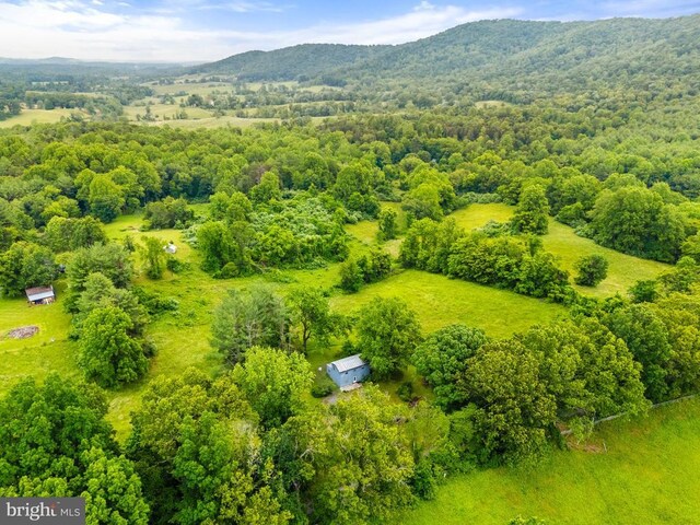  - bird's eye view of a mountain backdrop and a forest