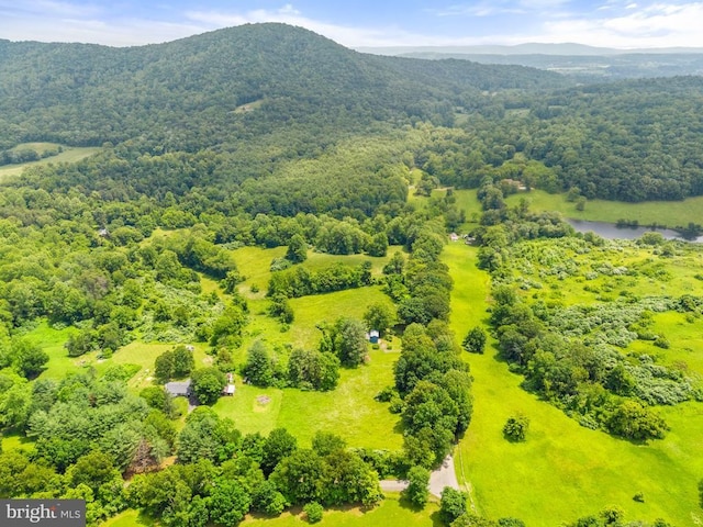  - drone / aerial view of a mountain backdrop and a forest