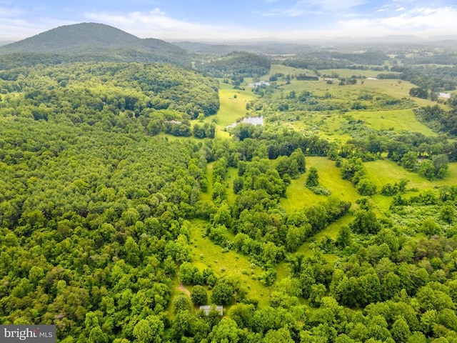  - aerial view of a mountain backdrop and a forest
