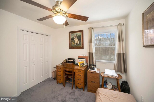6117 Block House Rd, Partlow, VA 22534 - home office featuring carpet floors and ceiling fan