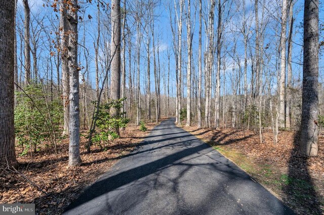 6117 Block House Rd, Partlow, VA 22534 - view of road with a view of trees
