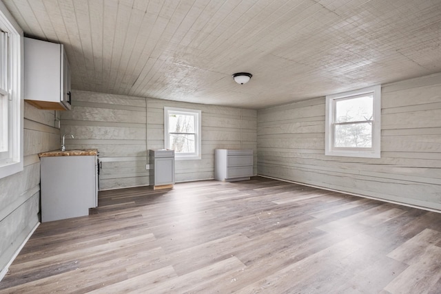 129 Hillwood Dr, Front Royal, VA 22630 - below grade area featuring wooden walls, light wood-type flooring, and wood ceiling