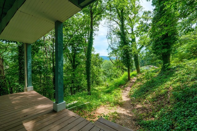 129 Hillwood Dr, Front Royal, VA 22630 - photo 30