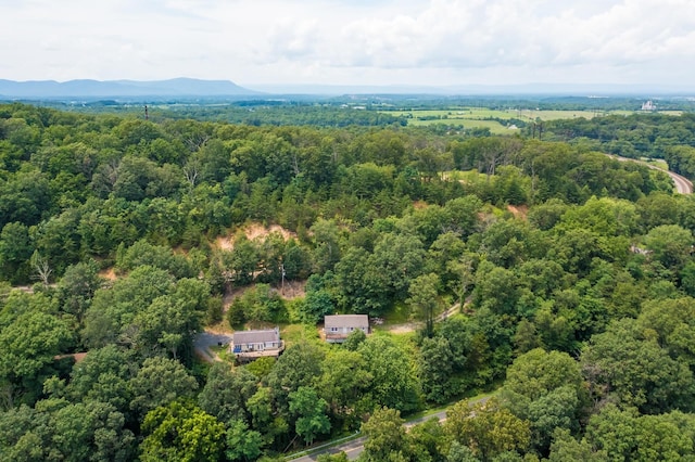 129 Hillwood Dr, Front Royal, VA 22630 - photo 44