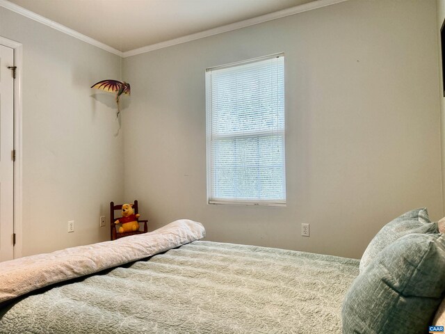 10 Loblolly Rd, Palmyra, VA 22963 - photo 14