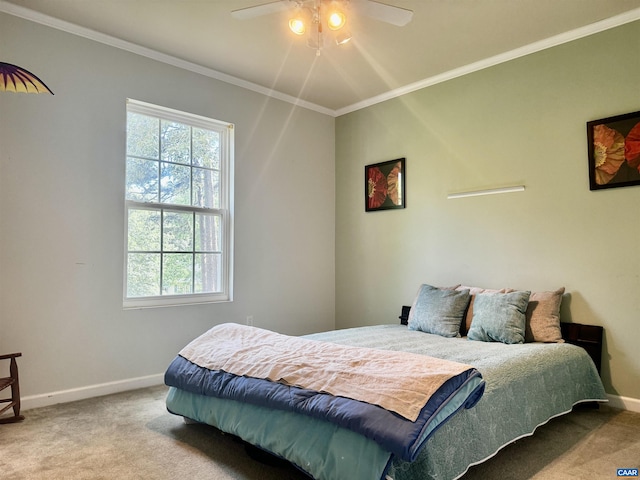 10 Loblolly Rd, Palmyra, VA 22963 - photo 15
