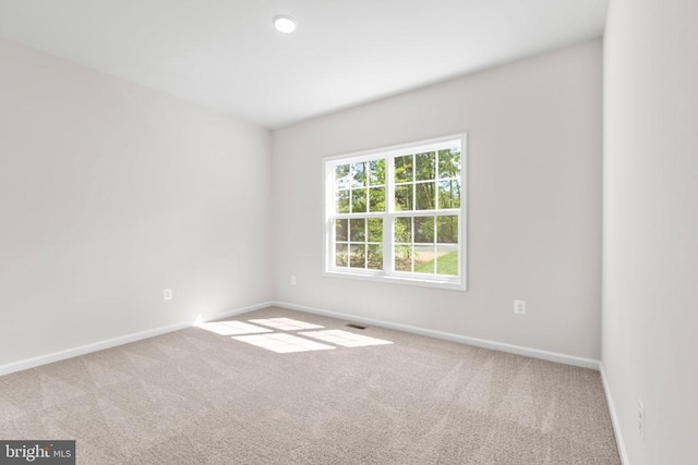 27008 Tatum Rd, Unionville, VA 22567 - photo 25
