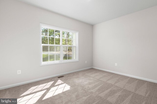 27008 Tatum Rd, Unionville, VA 22567 - photo 22
