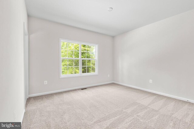 27008 Tatum Rd, Unionville, VA 22567 - photo 32