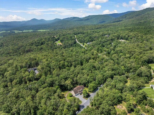 100 Nazareth Dr, Fort Valley, VA 22652 - photo 72