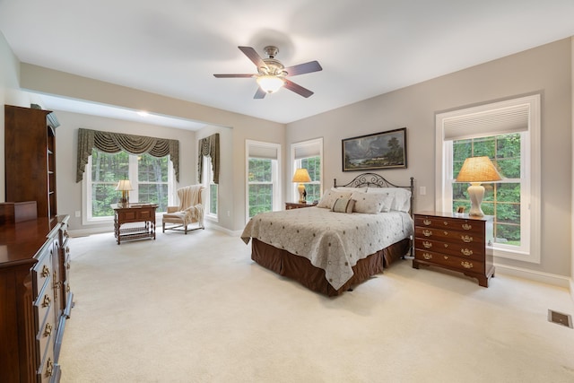 100 Nazareth Dr, Fort Valley, VA 22652 - photo 33