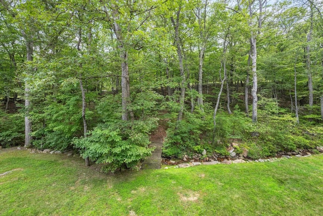 100 Nazareth Dr, Fort Valley, VA 22652 - photo 6