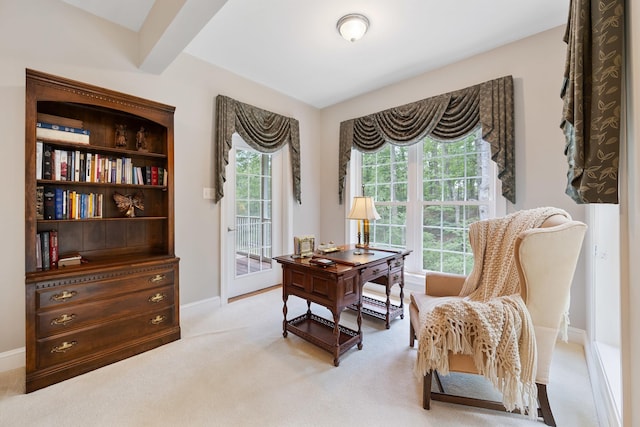 100 Nazareth Dr, Fort Valley, VA 22652 - photo 34