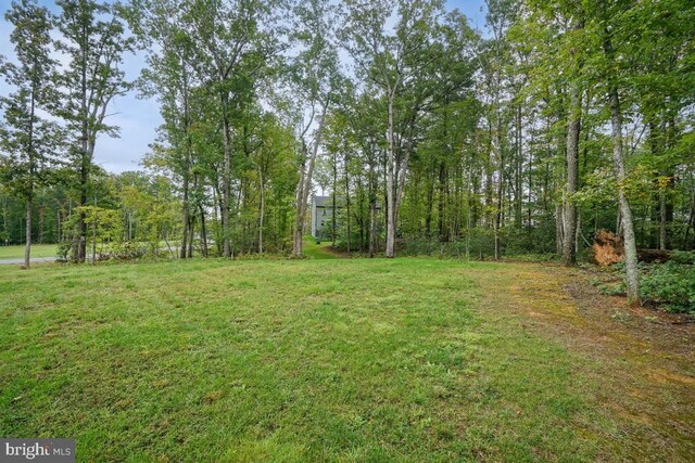13004 Bearington Mnr, Fredericksburg, VA 22407 - photo 48