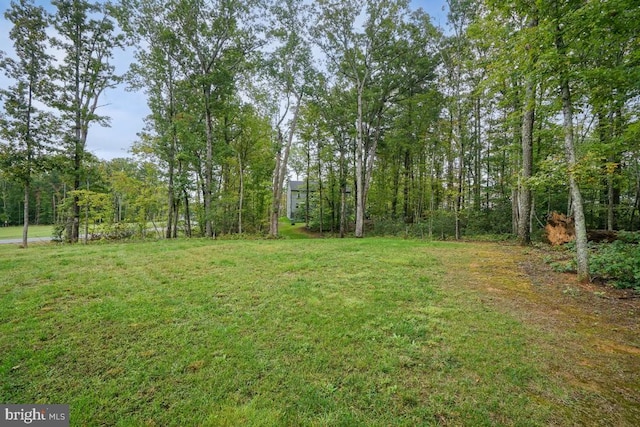 13004 Bearington Mnr, Fredericksburg, VA 22407 - photo 49