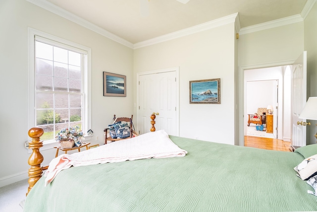 3242 Barrington Dr, Rockingham, VA 22801 - photo 40