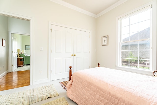 3242 Barrington Dr, Rockingham, VA 22801 - photo 42