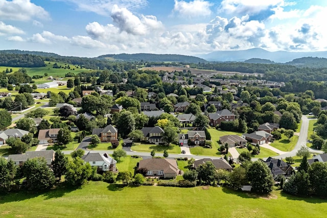 3242 Barrington Dr, Rockingham, VA 22801 - photo 65
