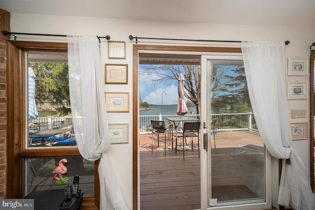 107 Ramsay Rd, Locust Grove, VA 22508 - entryway featuring a water view and wood finished floors