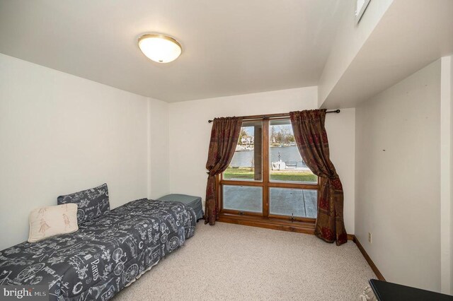 107 Ramsay Rd, Locust Grove, VA 22508 - bedroom with carpet and a water view